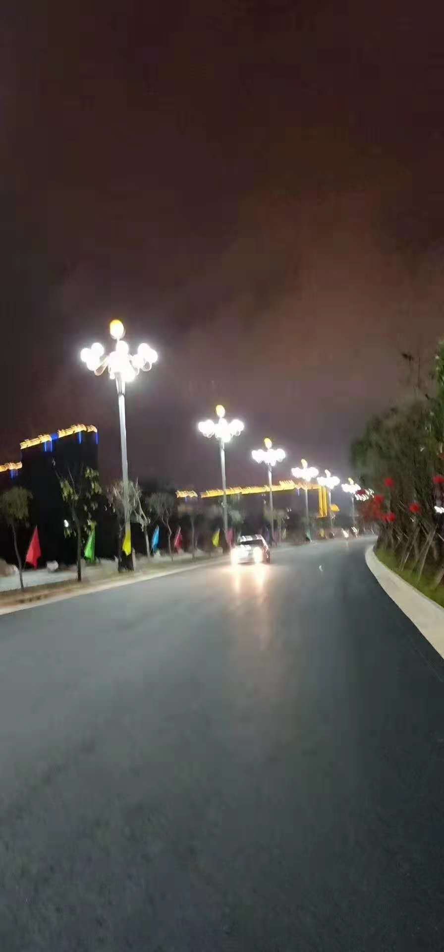 广西大化瑶族自治县迎宾大道路灯照明